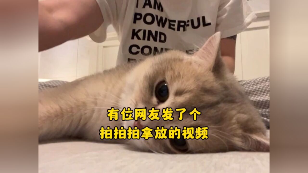qq拍拍