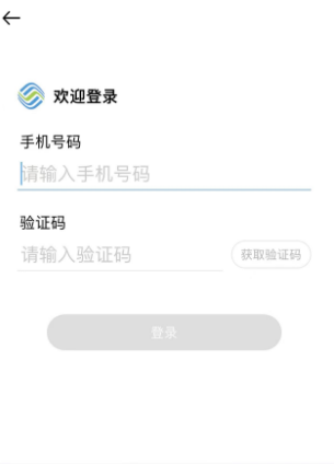 中国移动积分查询