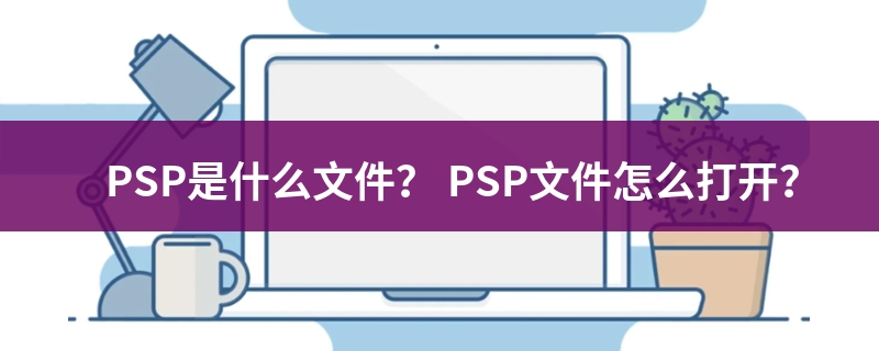 psp是什么