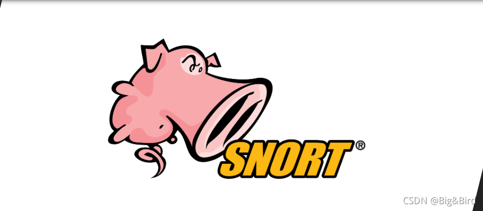 snort