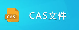 cas什么意思