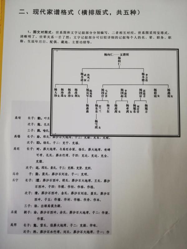 电子家谱