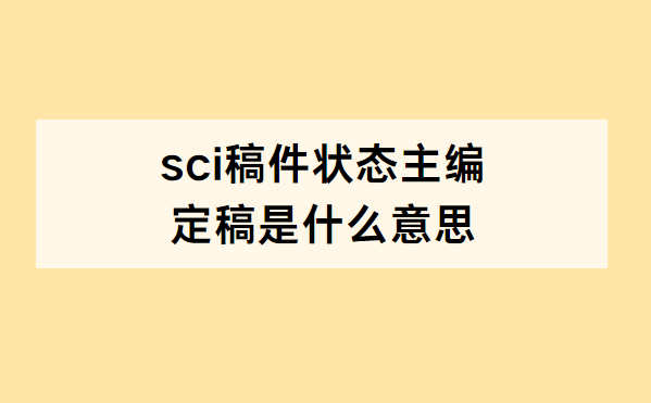 主编是什么意思