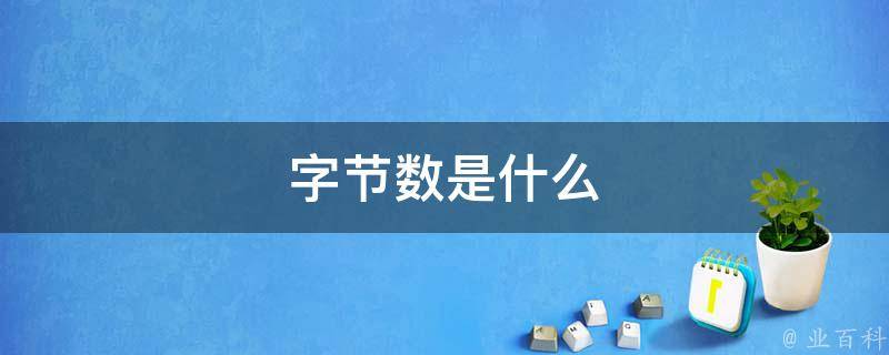 字节是什么单位