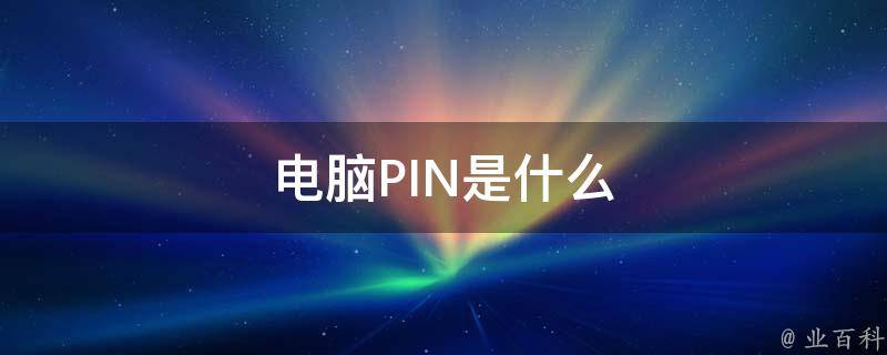 pin是什么意思
