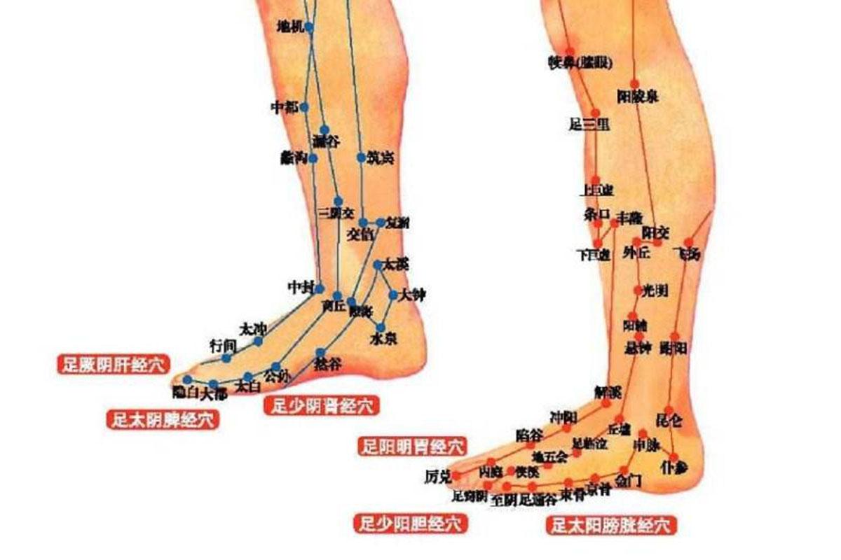 足及念什么