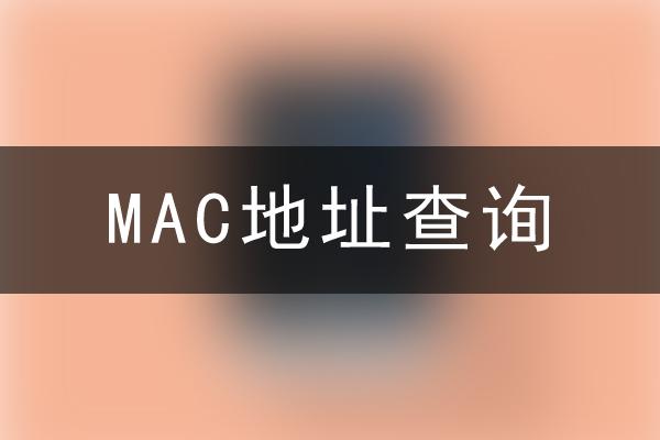 查mac地址