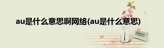 au是什么意思