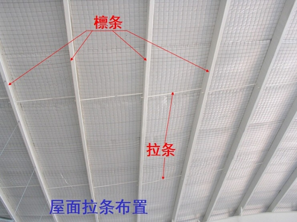 条是什么结构