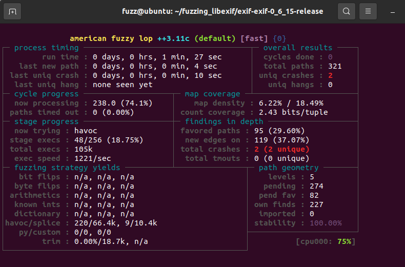 fuzzing