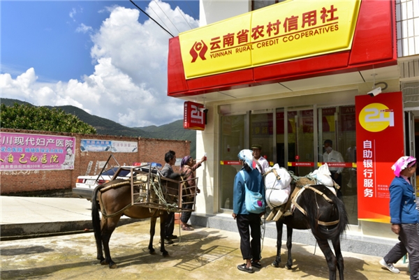 云南农信电话