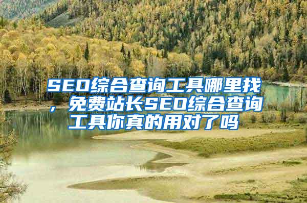 seo综合
