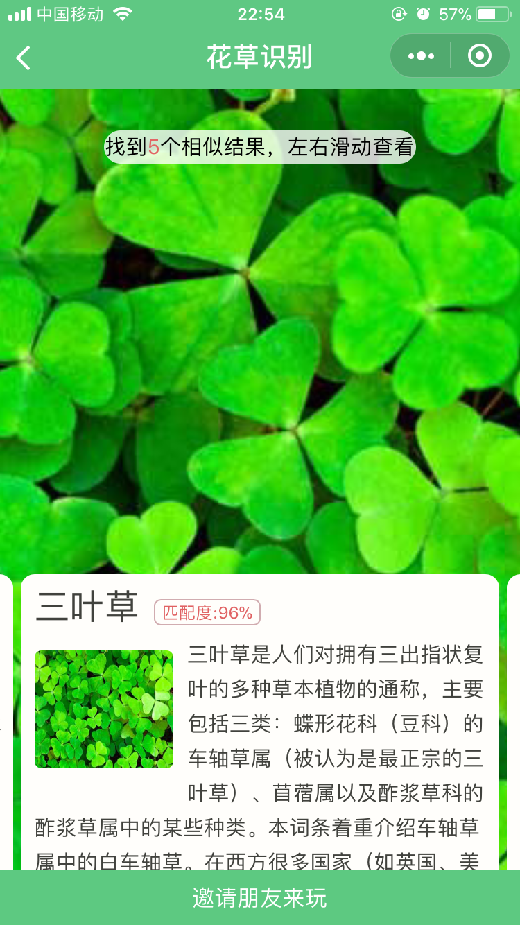 图片识图
