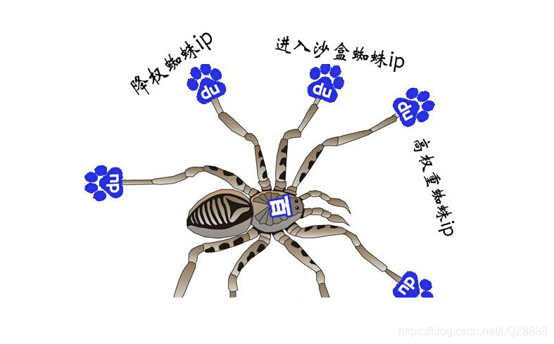 百度蜘蛛