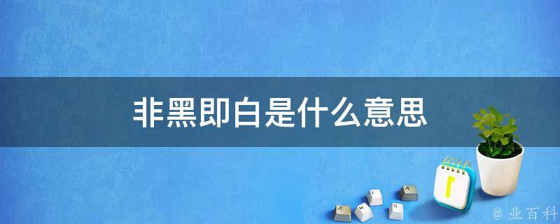 非黑即白的意思