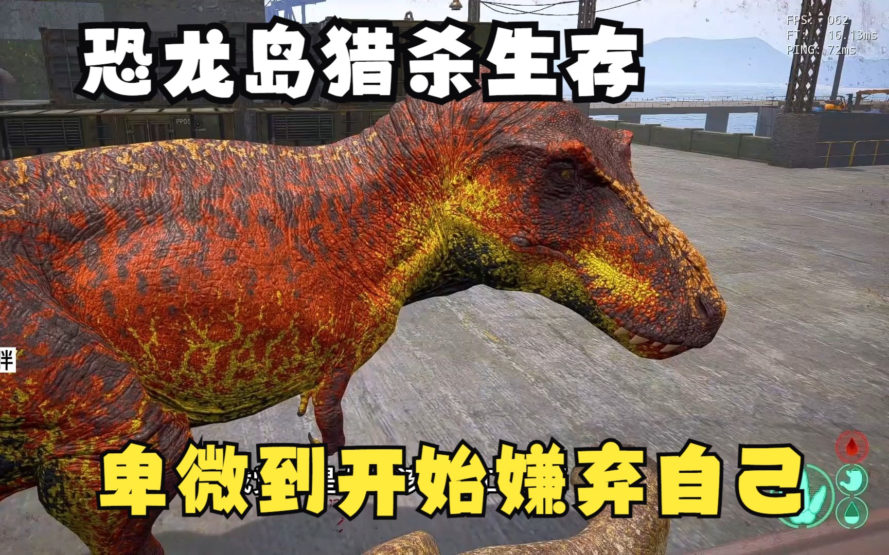 憨胖