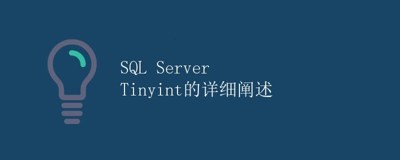 tinyint