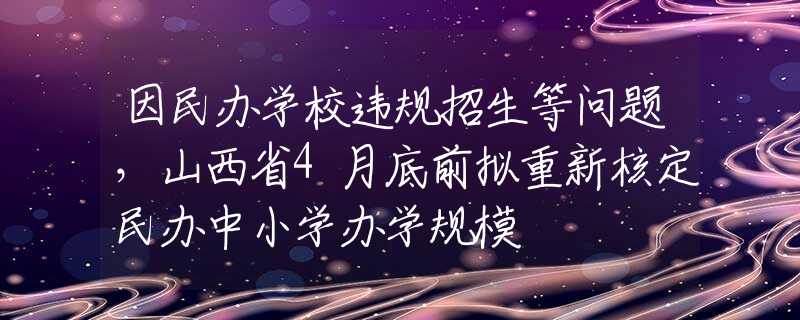民办学校招生广告备案说明
