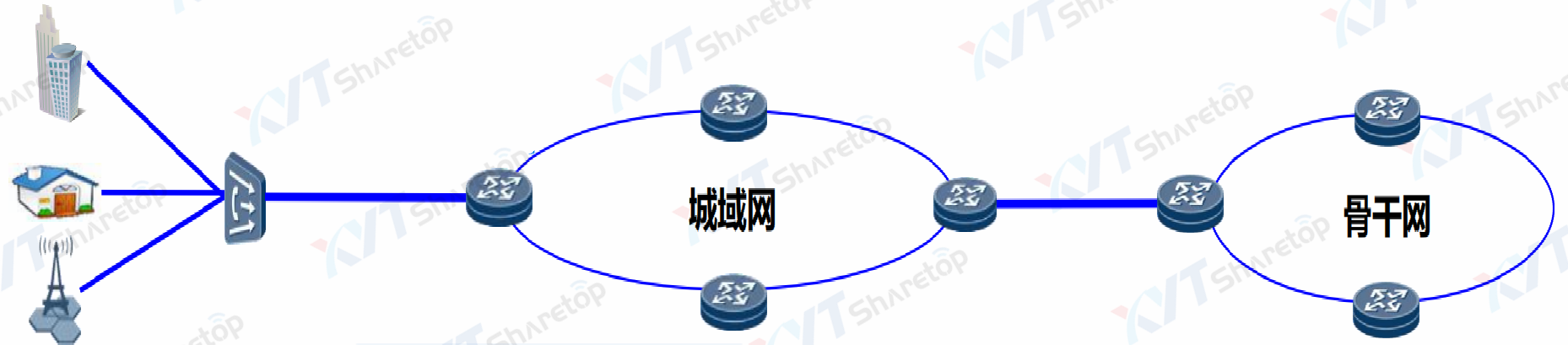 骨干网络