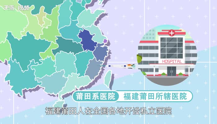 莆田系什么意思