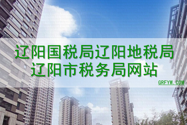 大连市税务局官网