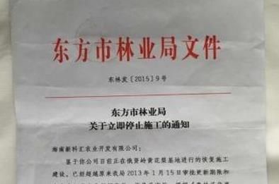 文件抬头