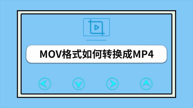 mov是什么意思