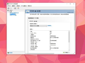 nvidia设置