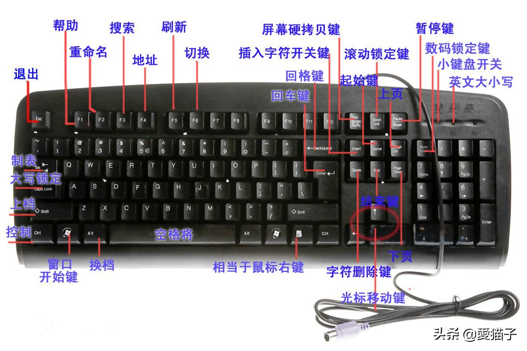 粘贴复制快捷键
