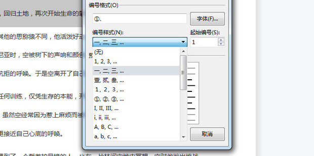wps编号