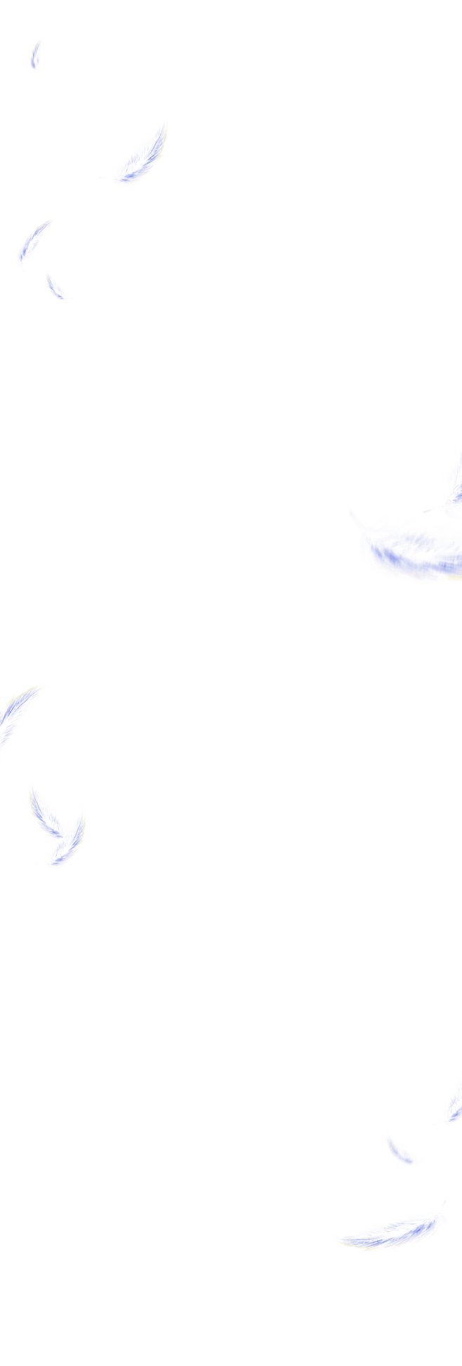 ymd