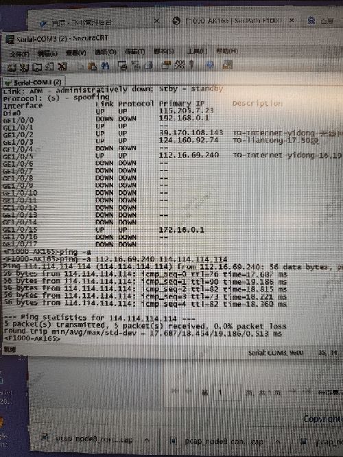 公网dns