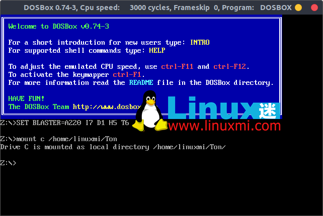 dosbox