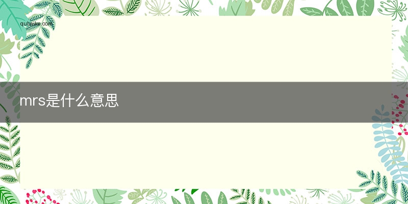mss是什么意思