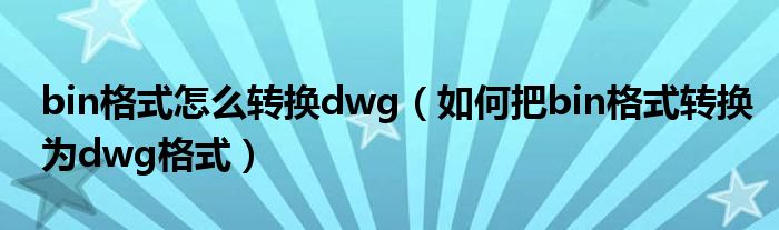 bin格式