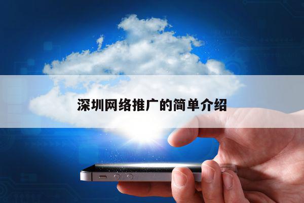 深圳网络推广