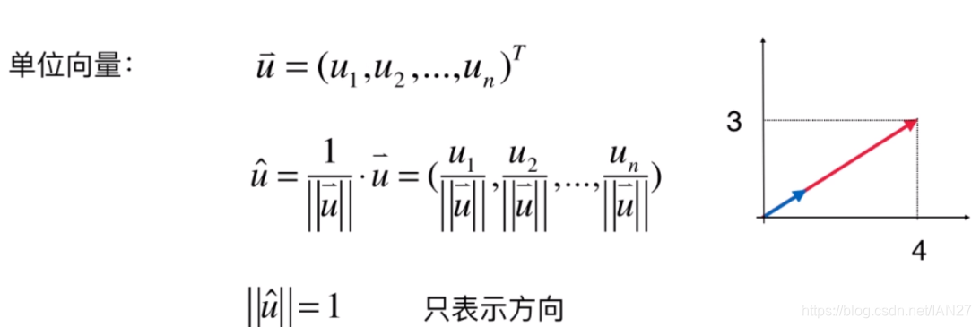 单位向量