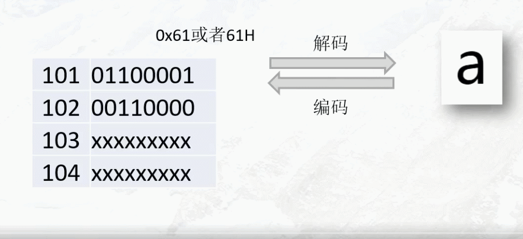 编码解码