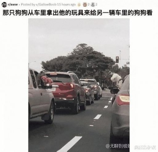 极致是什么意思