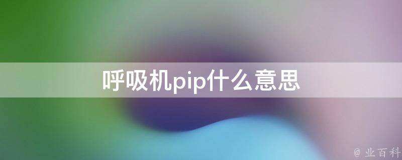 pip是什么意思