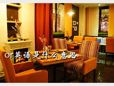 or什么意思