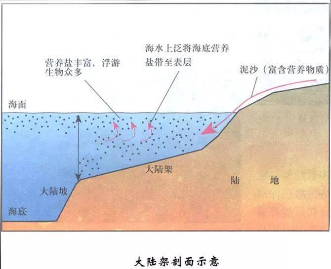 大陆是什么意思