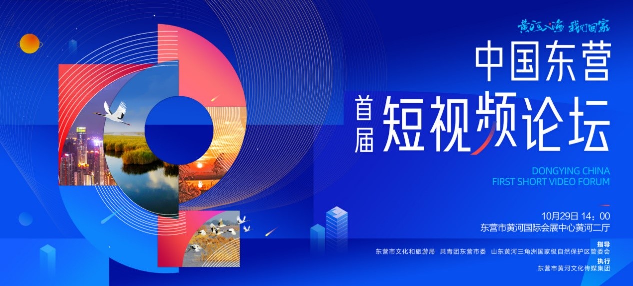 视频论坛