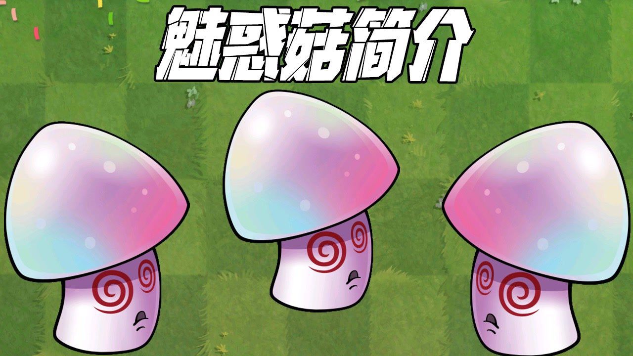 魅惑菇图片