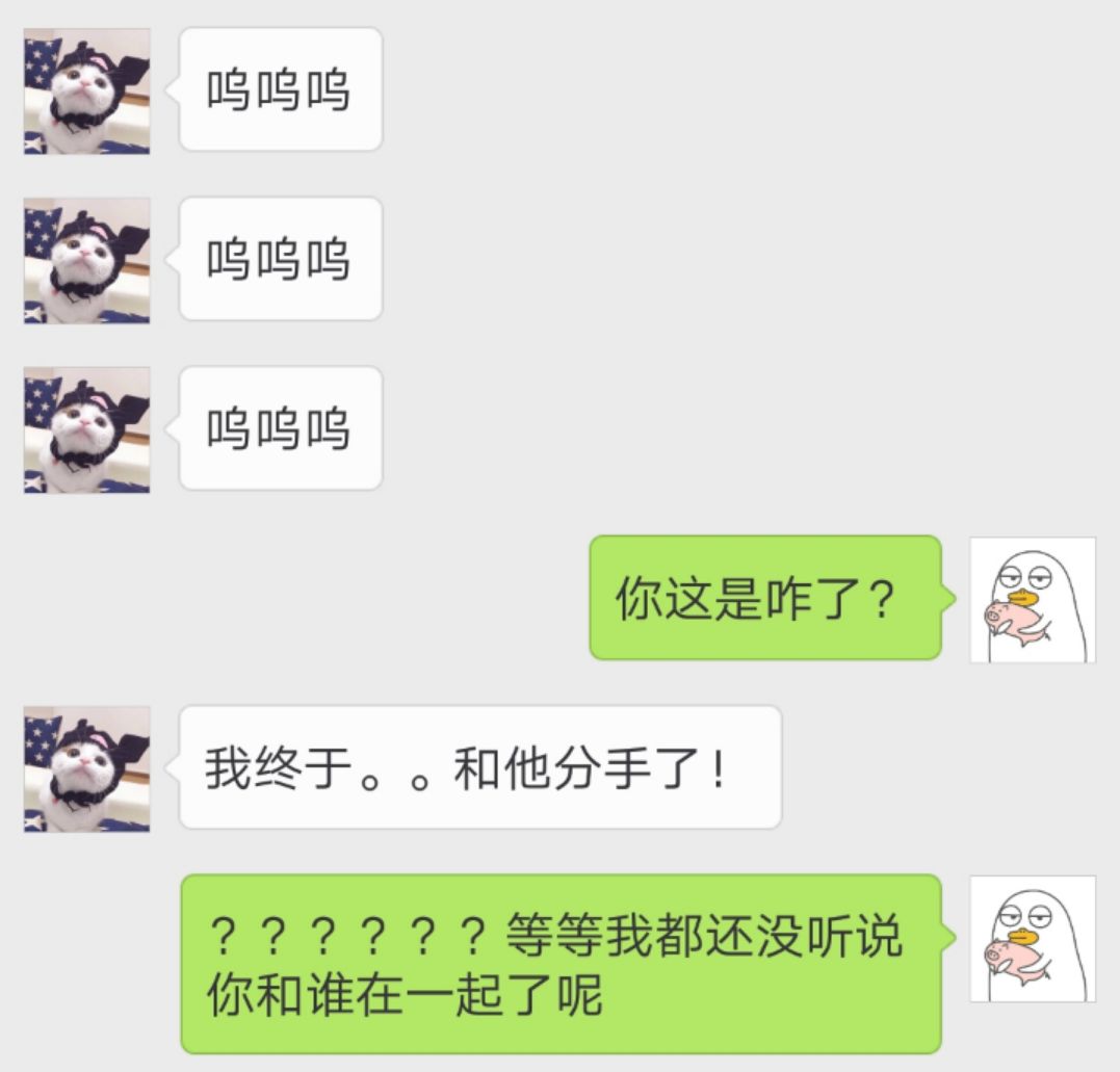 chaxun