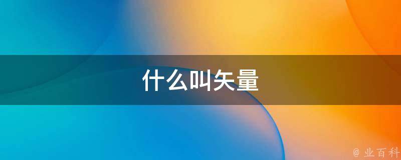什么叫矢量图