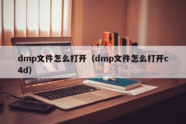dmp文件