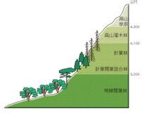 垂直分布