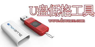 u盘低格
