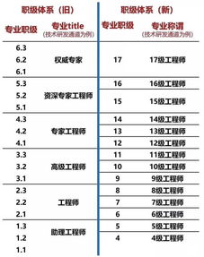 华为等级